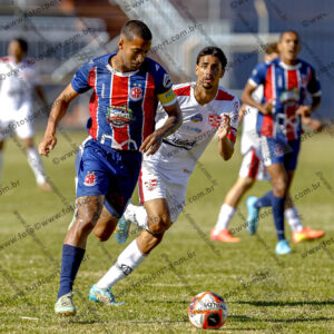 Penapolense x Linense