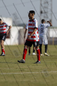 Evento Foto - 2025-08-02 15:46:18 - jls-105.jpg