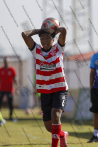 Evento Foto - 2025-08-02 15:50:47 - jls-175.jpg