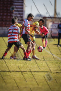 Evento Foto - 2025-08-09 16:09:34 - jls-72.jpg