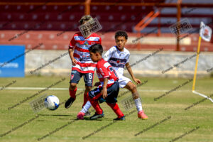 Evento Foto - 2025-08-31 21:33:29 - _D2E7654-68.jpg