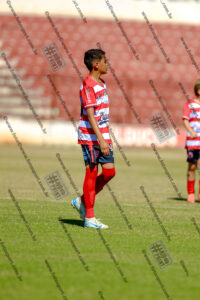 Evento Foto - 2025-08-31 21:41:31 - _D2E7801-182.jpg