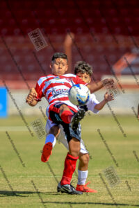 Evento Foto - 2025-08-31 21:43:41 - _D2E7834-210.jpg