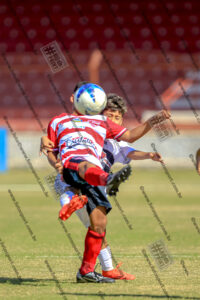 Evento Foto - 2025-08-31 21:43:44 - _D2E7835-211.jpg