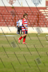 Evento Foto - 2025-08-31 21:48:26 - _D2E7930-278.jpg