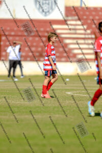 Evento Foto - 2025-08-31 21:48:33 - _D2E7932-280.jpg