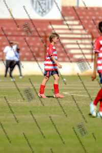 Evento Foto - 2025-08-31 21:48:37 - _D2E7933-281.jpg