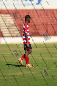 Evento Foto - 2025-08-31 22:01:54 - _D2E7970-14.jpg