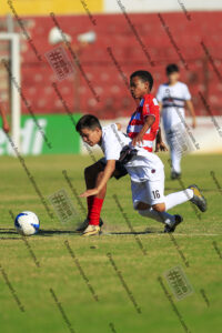 Evento Foto - 2025-08-31 22:07:50 - _D2E8088-117.jpg