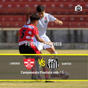 Linense x Santos FC