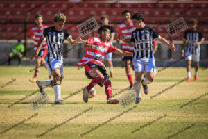 Evento Foto - 2025-09-13 15:09:32 - _D2E9554-176.jpg