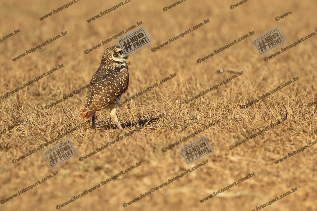 Evento Foto - 2025-09-20 14:48:26 - CALXSAN-57.jpg