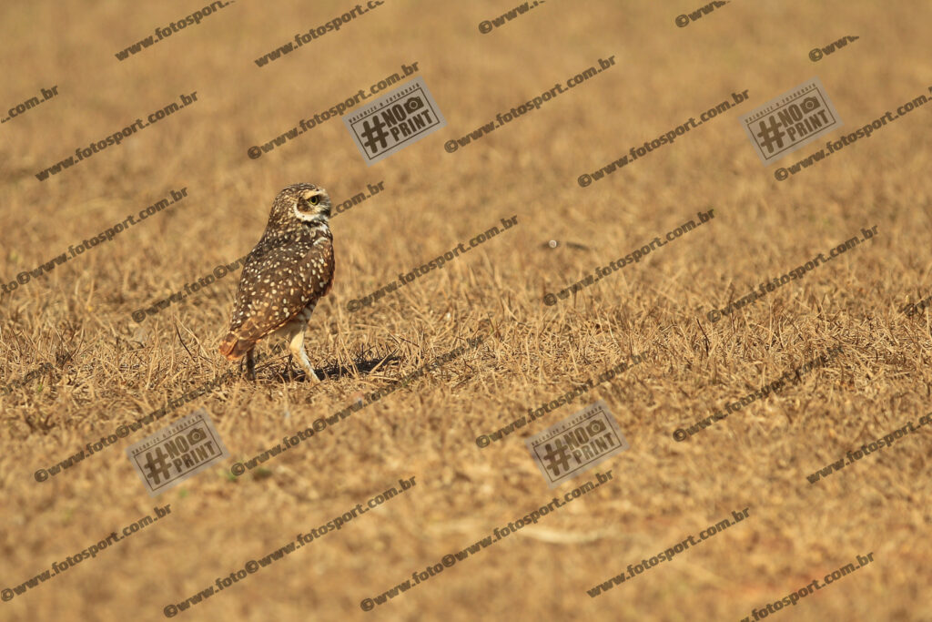 Evento Foto - 2025-09-20 14:48:31 - CALXSAN-58.jpg