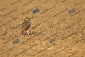 Evento Foto - 2025-09-20 14:48:31 - CALXSAN-58.jpg