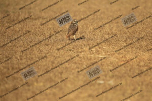 Evento Foto - 2025-09-20 14:48:36 - CALXSAN-59.jpg