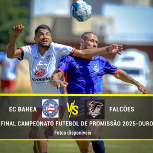 EC Bahea x Falcões