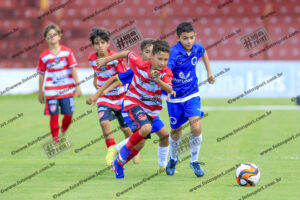 Evento Foto - 2026-03-28 22:09:25 - _D2E2631-216.jpg