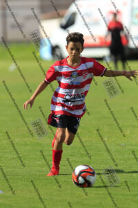 Evento Foto - 2026-03-28 22:40:28 - _D2E2889-439.jpg