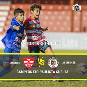 Linense x Assisense Sub-13