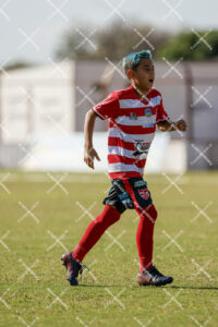 Evento Foto - 2026-07-04 21:40:48 - SUB11JLBSCALXCAP-232.jpg